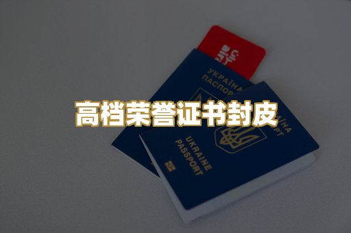机动车驾驶证排版
